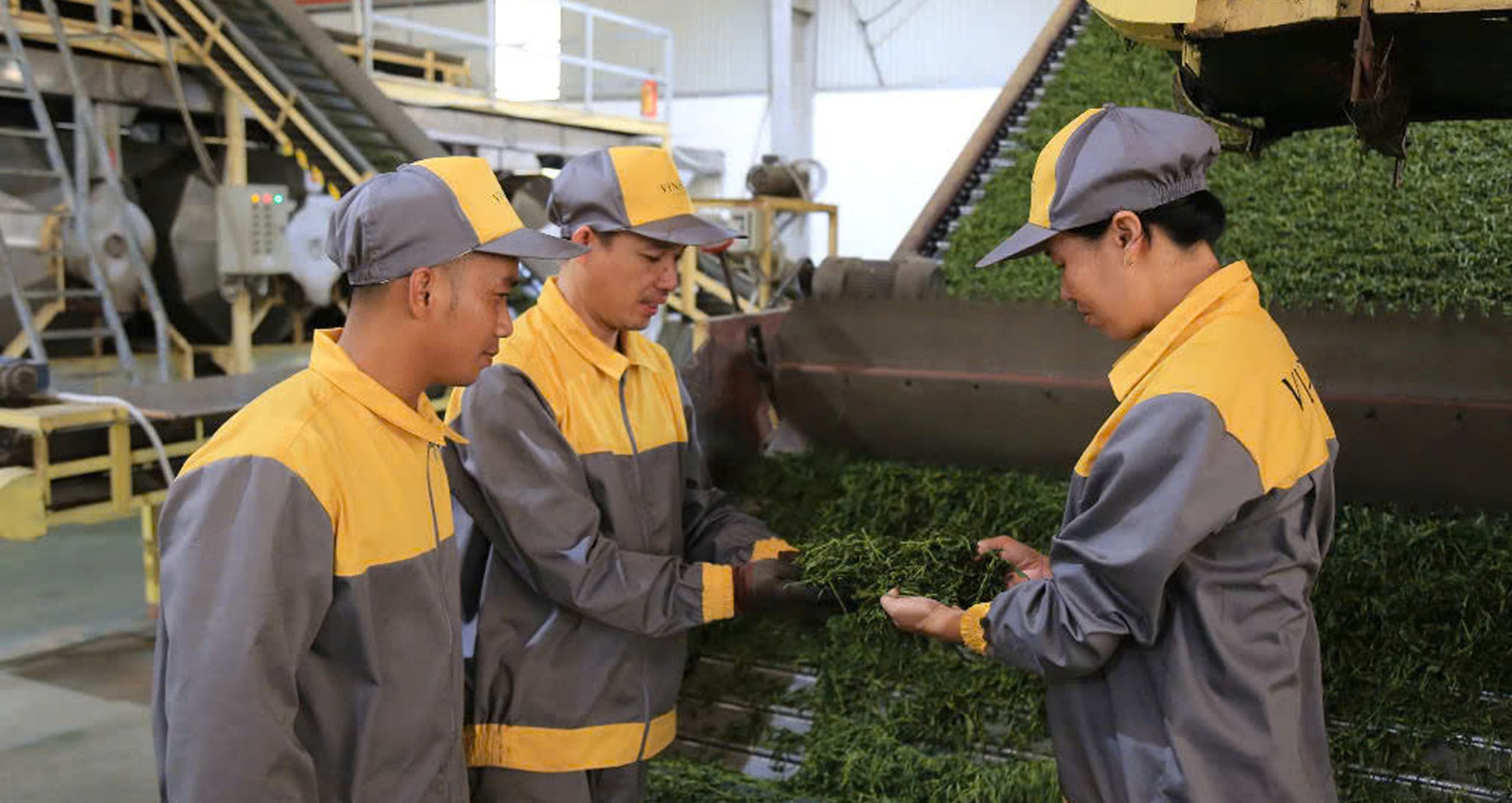 Nhà Máy Sản Xuất Chè Gallery Image